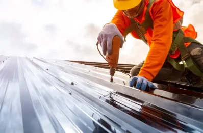 Travaux de zinguerie à Savigny-en-Terre-Plaine
